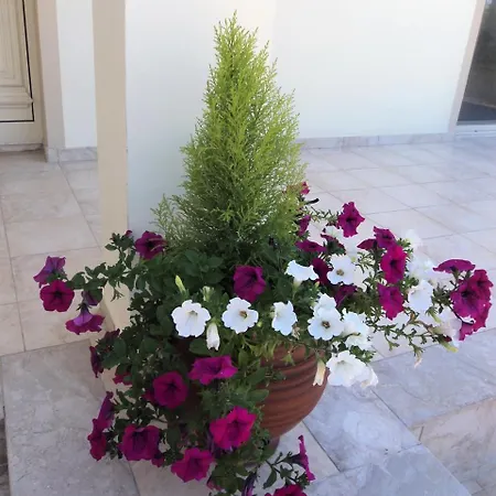 Citrus Grove * Argaka